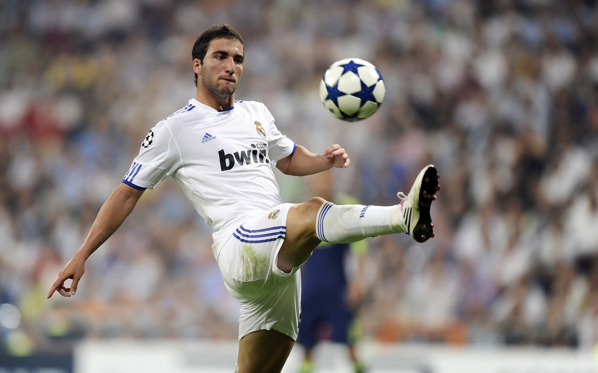  温网首回合激情夜！辛纳里突外投，费内巴切横扫波士顿凯尔特人